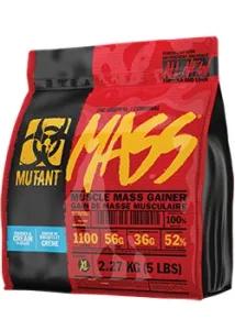 Best Weight Mass Gainer Protein Powder