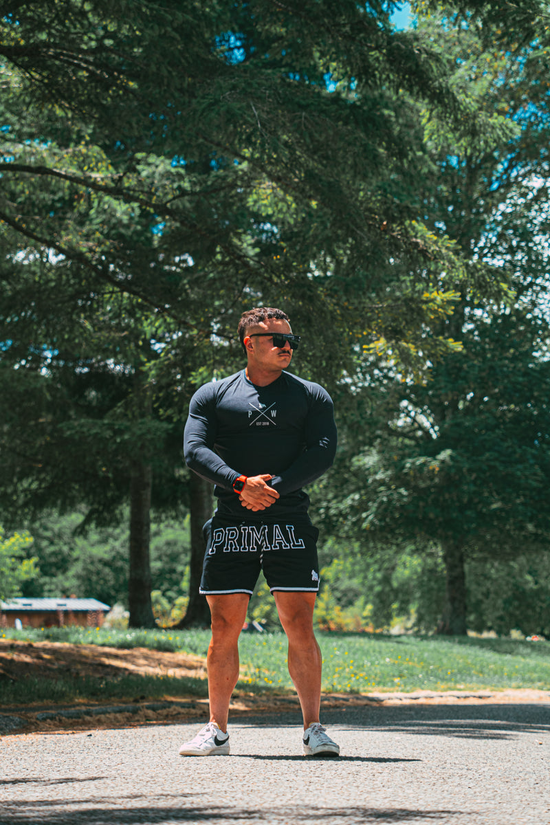 Primal long sleeve compression