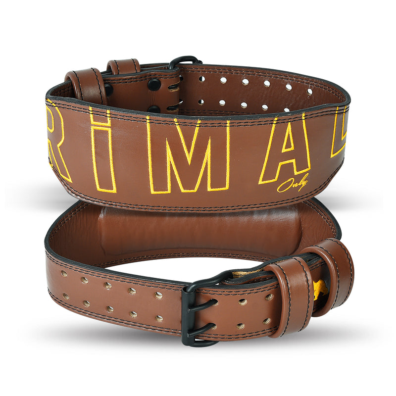 Brown Embroidered leather belt (NEW)