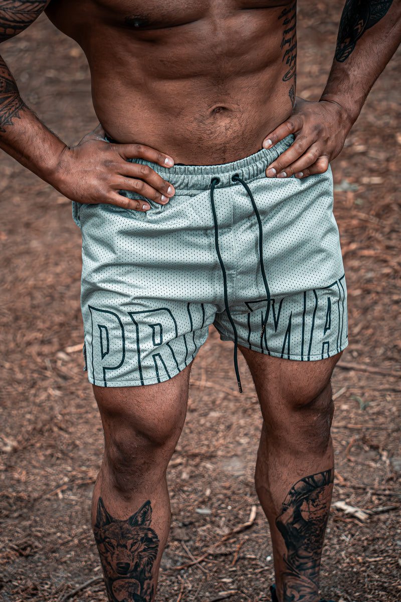 Double layered mesh Shorts