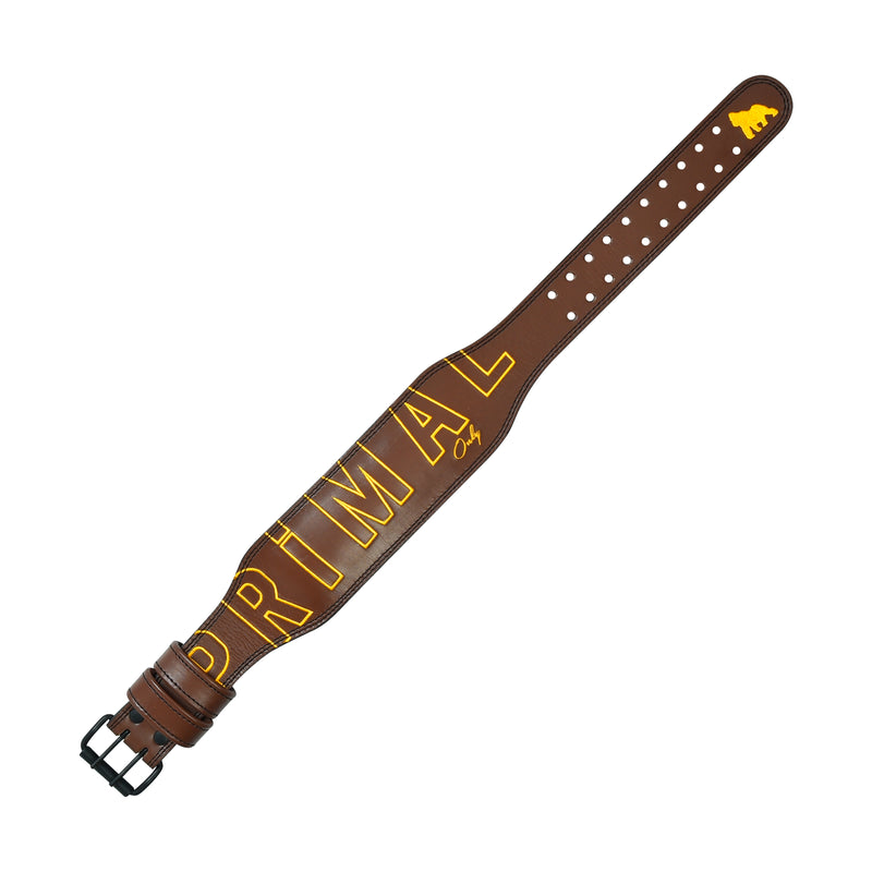 Brown Embroidered leather belt (NEW)