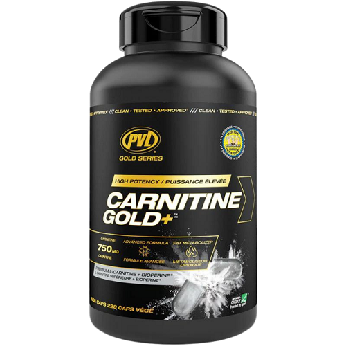 PVL Gold Series Carnitine Gold +