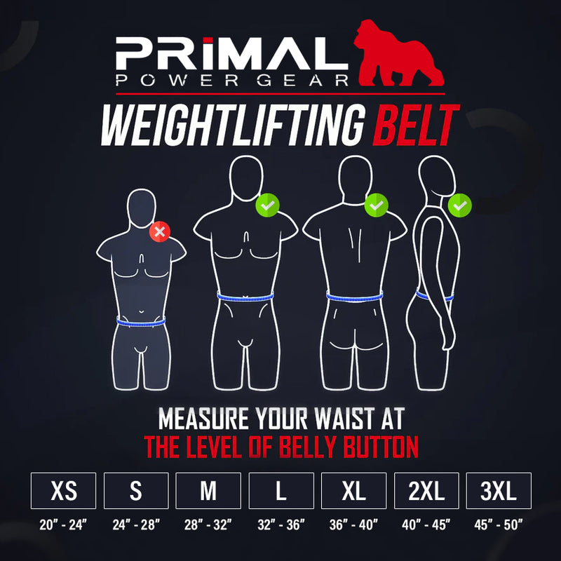 Best Weight Lifting Leather Belts | Primal Supplements